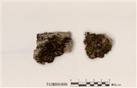 藏品(島衣屬)的圖片